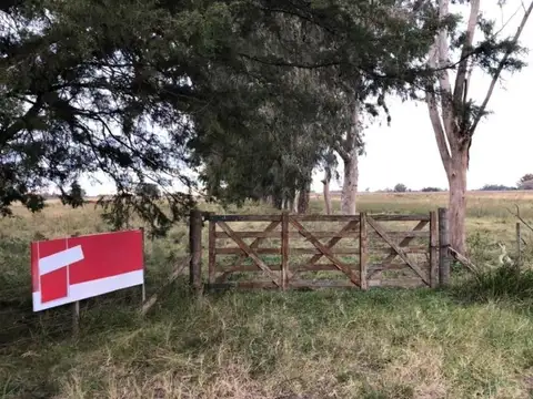 Chacra en venta - 642.074mts2 - Magdalena