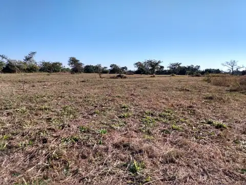 ruta 305 en el km 4,5 100