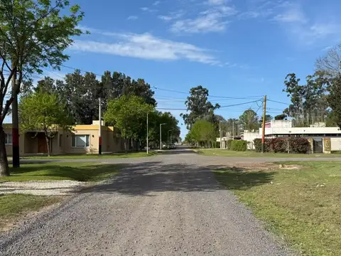 Dalmaso Centeno  al 1500