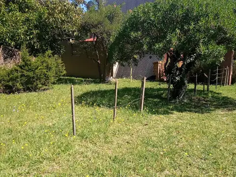 Avenida los pinos 1100