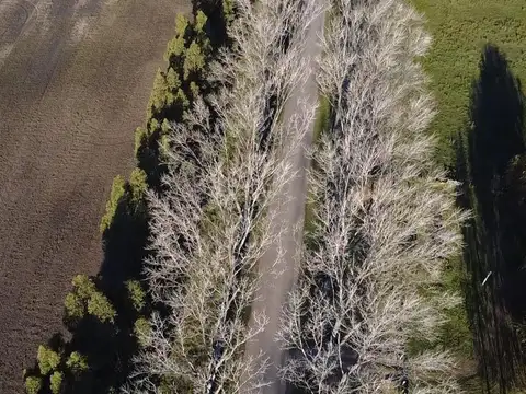 VENTA   LOTE SECTOR QUINTAS 1800MTS2  AYACUCHO