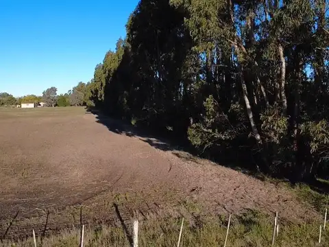 VENTA   LOTE SECTOR QUINTAS 1800MTS2  AYACUCHO