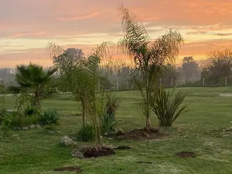 Terreno en Alquiler 33  mts Fondo