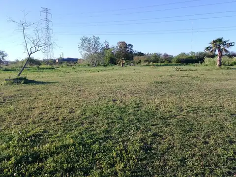 Arriveños 2600