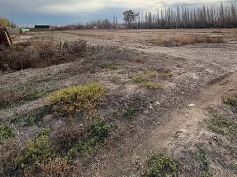 Terreno - General Roca