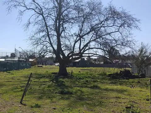 Terreno en Venta 12  mts Frente