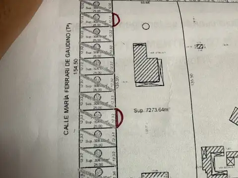 Maria Ferrari de Gaudino