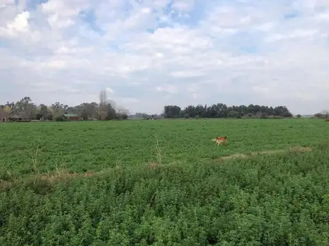 Campo en Venta de 5  ha