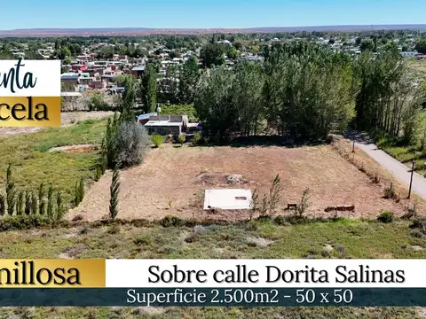 VENTA PARCELA EN SENILLOSA DE 2500 M2 NEUQUEN