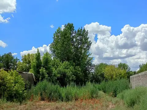 OPORTUNIDAD TERRENO DE 2170 M2 EN VENTA - TUNUYÁN 