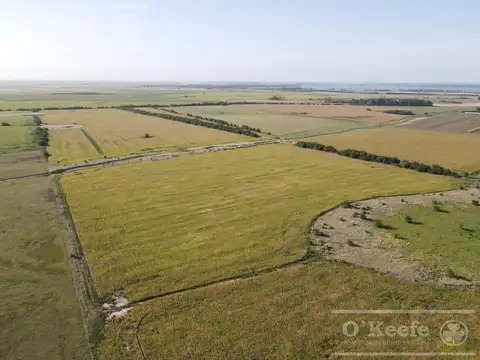 Campo en Chascomús 57 Has - Agrícola / turismo