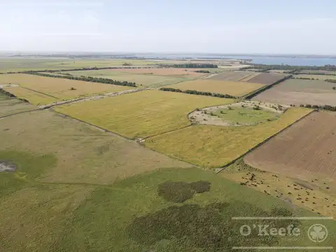 Campo en Chascomús 57 Has - Agrícola / turismo