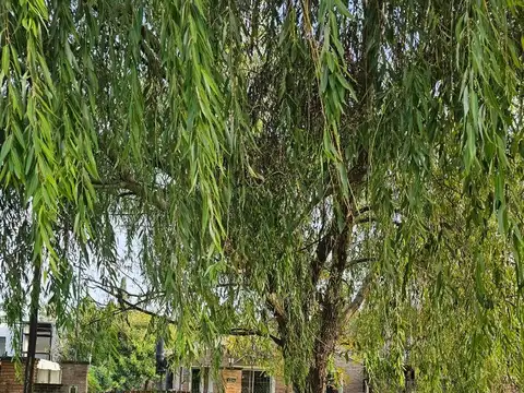 Av Azcuenaga 2278bis