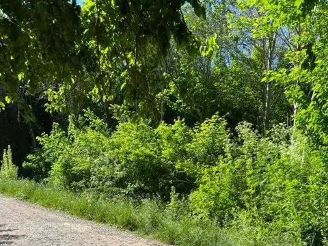 Lote en venta en Villa Elisa