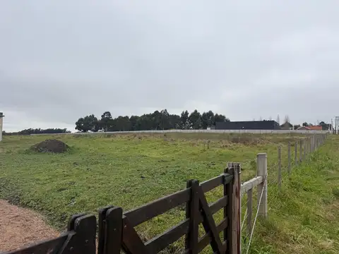 Camino Gori 2600