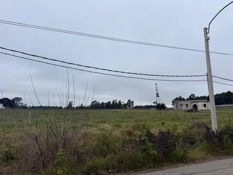 Camino Gori 2600