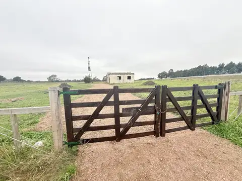 Camino Gori 2600