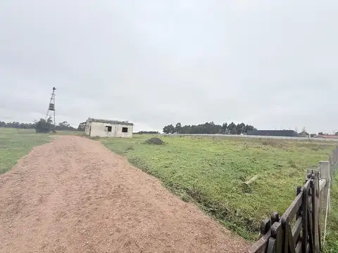Camino Gori 2600
