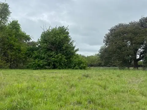 Terreno en Venta de 6176,0 m2