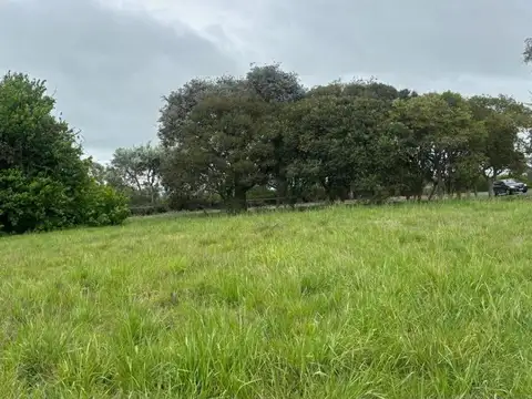 Terreno en Venta 41  mts Frente