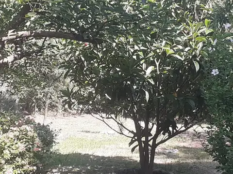 Del Puma, san Javier, Córdoba