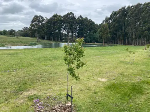 Terreno en Venta en Manantiales, USD 270.000