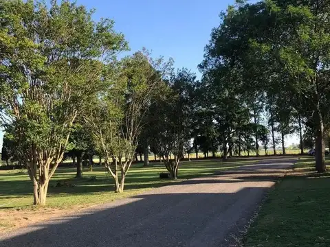 Terreno en Venta de 801,0 m2