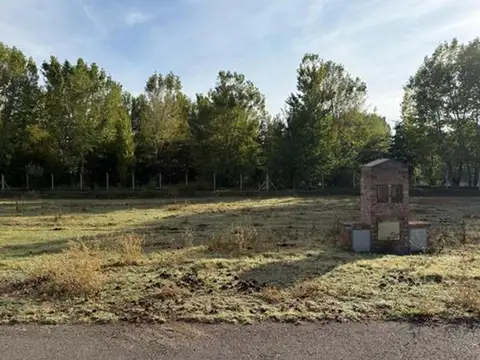 Avenida de los Constituyentes 2200