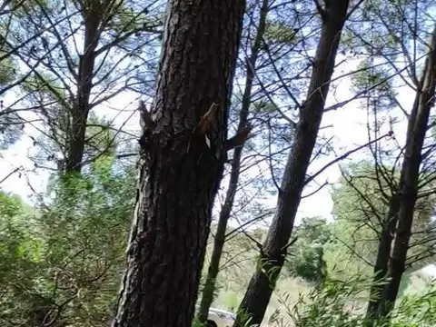 Terreno en Venta en Monte Hermoso, USD 52.000