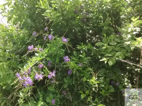 Terreno en Venta de 200,0 m2