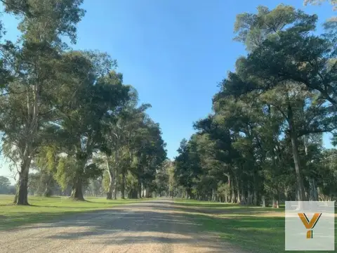 Terreno en Venta en Los Tres Pinos, USD 62.000