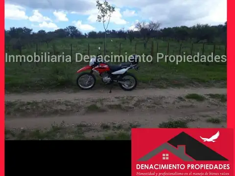 Terreno en Venta de 1150,0 m2