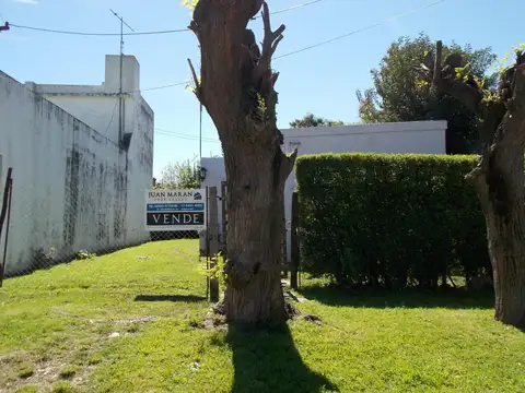 Chacabuco 181