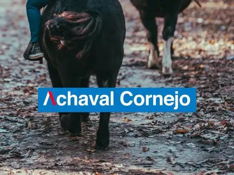 Terreno en Venta de 1438,0 m2