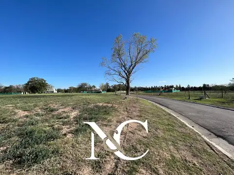 Terreno en Venta en Berazategui, USD 84.000