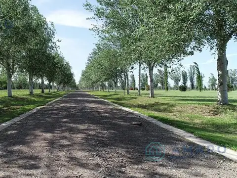 Terreno en Venta en Piñero, USD 49.000