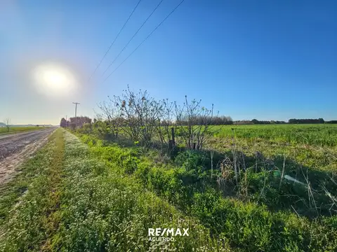 VENTA DAMPO 6,9 HA. RUTA N 9 Y RUTA P 191