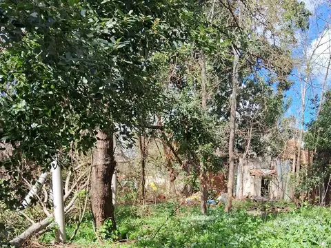 Terreno en Alquiler 75  mts Fondo