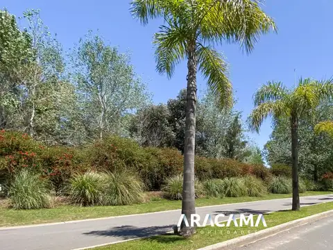 LOTE en VENTA en Terralagos  - Canning