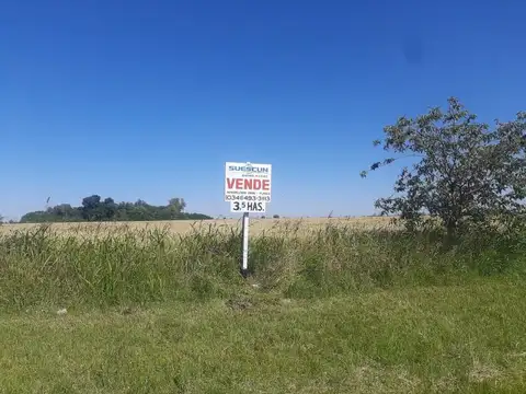 Campo en Roldán sobre Ruta AO12