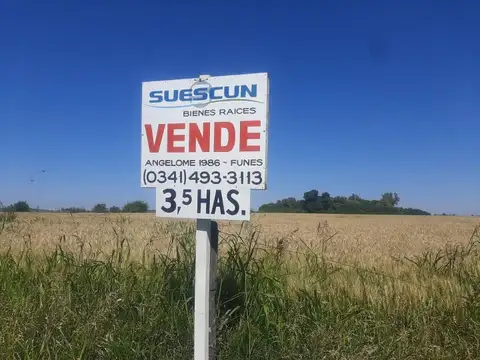 Campo en Roldán sobre Ruta AO12