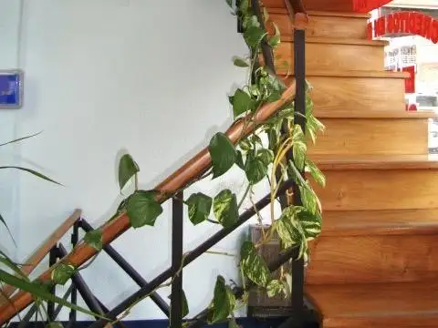 Local en Venta Via Pública