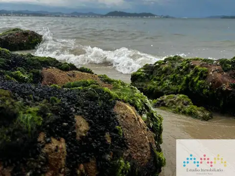 Avenida Luiz Boiteux Piazza, 6700