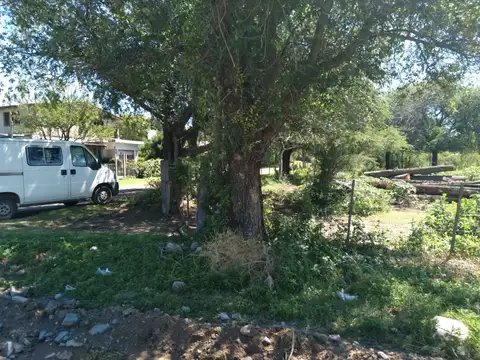 Terreno en Venta de 10000,0 m2