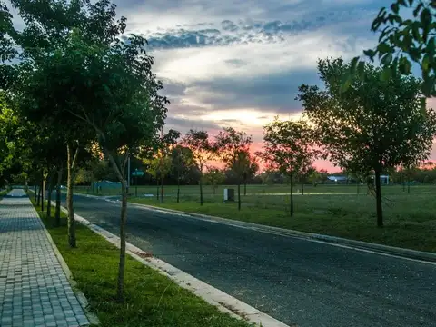 Terreno en Venta 39  mts Fondo