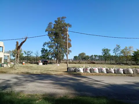 Ruta 6 y Cno a Navarro (Fincas 100