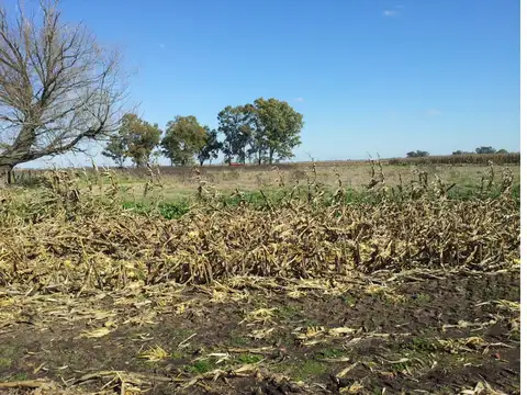 Campo 323 has en Roque Perez RETAZADO