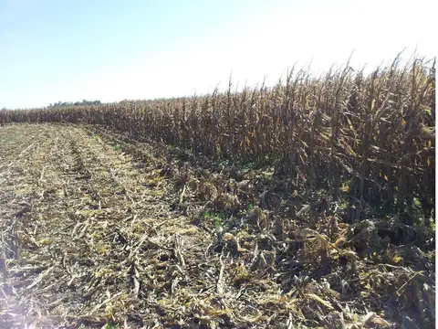 Campo 323 has en Roque Perez RETAZADO