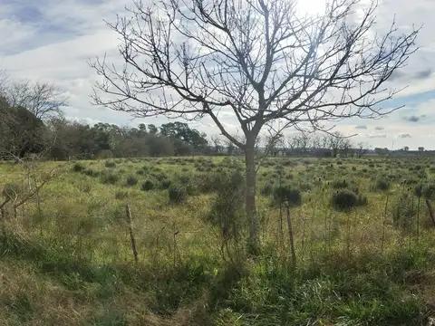 Terreno en Venta 20  mts Frente