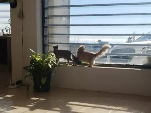 Quinta en Venta en Caleta Olivia, USD 130.000